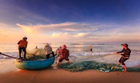 Dia-Mundial-de-la-Pesca