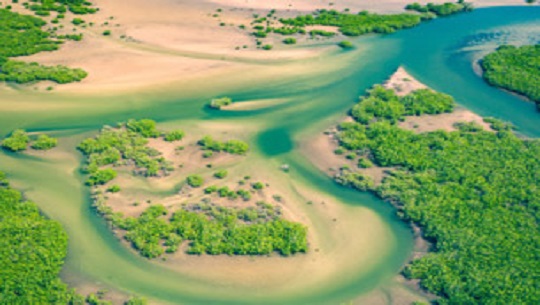 Dia-Mundial-de-los-Sistemas-de-Informacion-Geografica