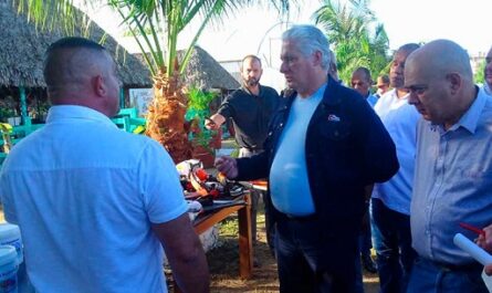 Presidente Díaz-Canel recorre zonas productivas del centro de Cuba