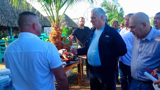 Presidente Díaz-Canel recorre zonas productivas del centro de Cuba