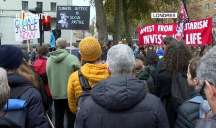 marchas-palestina