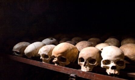 Dia-Internacional-contra-el-Genocidio