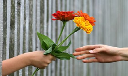 Giving-Tuesday-o-Dia-para-Dar