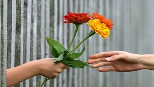 Día para Dar o Giving Tuesday