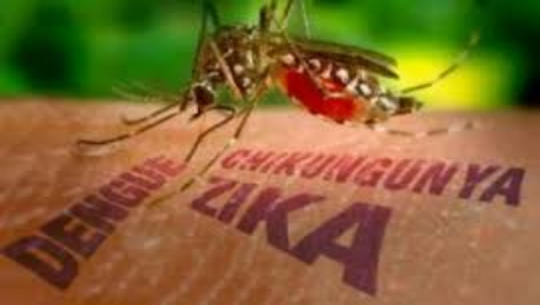 Desarrolla Cienfuegos sistema de alerta temprana para brotes de arbovirosis