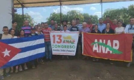 Elegido en Rodas delegado directo por Cienfuegos a Congreso Campesino