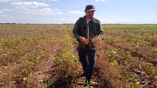 🎧 Horquita: gran sacrificio, pero con alimentos para el pueblo