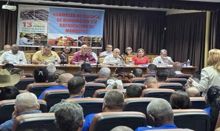 Cuba apuesta por el fortalecimiento de sector cooperativo y campesino
