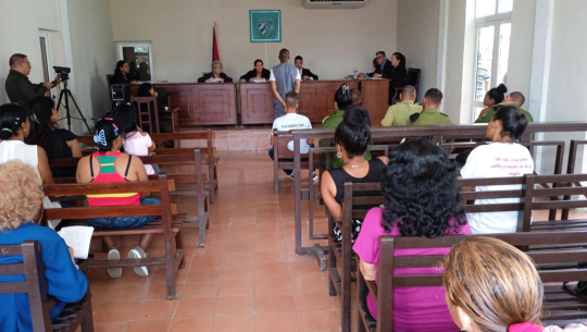 Sanciona Tribunal Popular Municipal de Abreus sacrificio ilegal de ganado mayor y tráfico de sus carnes
