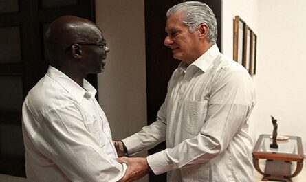 Recibe Díaz-Canel a secretario del Partido Comunista Sudafricano
