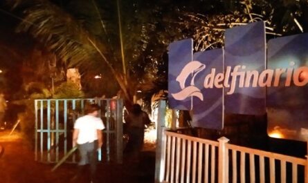 Controlan incendio en Parque Inflable de Delfinario de Cienfuegos