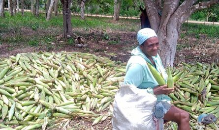 Virgen, la vida y su satisfacción por el 26 de julio