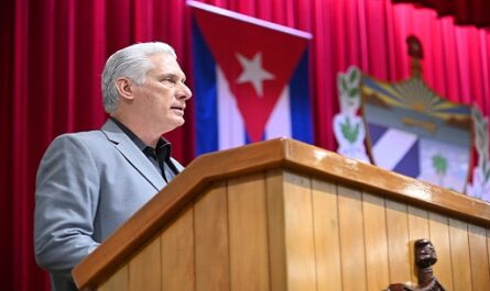 Díaz-Canel patentiza autenticidad de la Revolución cubana