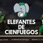 Elefantes y su afición unidos en un espacio virtual