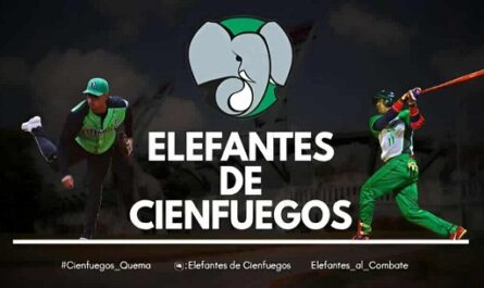 Elefantes y su afición unidos en un espacio virtual