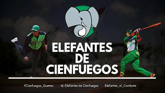 Elefantes y su afición unidos en un espacio virtual