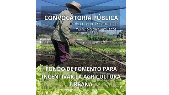 🎧 Otorgarán financiamiento para incentivar la agricultura urbana en Cienfuegos