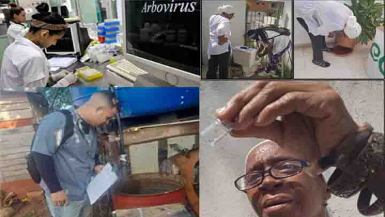 Intensifica Salud pública control de arbovirosis en Cienfuegos 