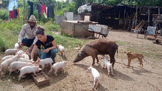 Finca La Panchita: agricultura, amor y deseos