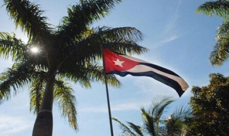 Volver la mirada al gran día de enero y retomar el aliento de aquel instante de victoria que transformó para siempre a la nación