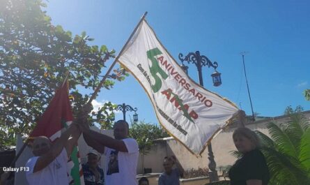En tierra sureña bandera Aniversario 65 de la ANAP