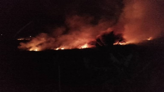 Incendio de gran magnitud afectó zona de mangle en localidad El Naranjal, en la provincia de Matanzas