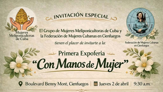 Anuncian en Cienfuegos Expoferia con manos de Mujer