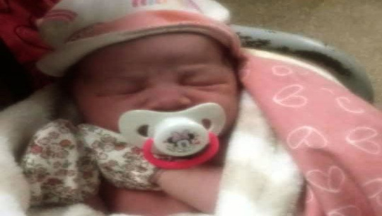 Hasta en la adversidad, la vida florece