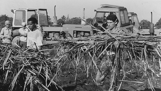 Ni la conexión generacional ni la continuidad deben ser acríticas (+Fotos)