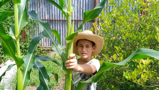 Los sueños de un niño cienfueguero