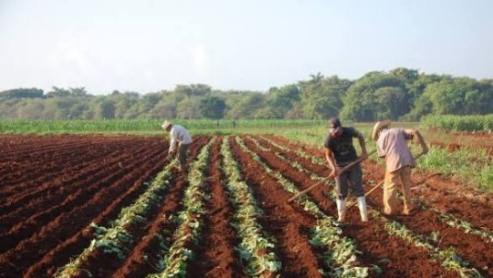 Cienfuegos impulsa su desarrollo desde la tierra