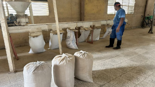 Reducen costos en el proceso industrial del arroz en Cienfuegos