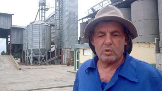 Labora establemente el secadero de arroz en la Aguada de Pasajeros