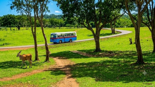 Zoológico Nacional reabrirá sus puertas el próximo 16 de septiembre